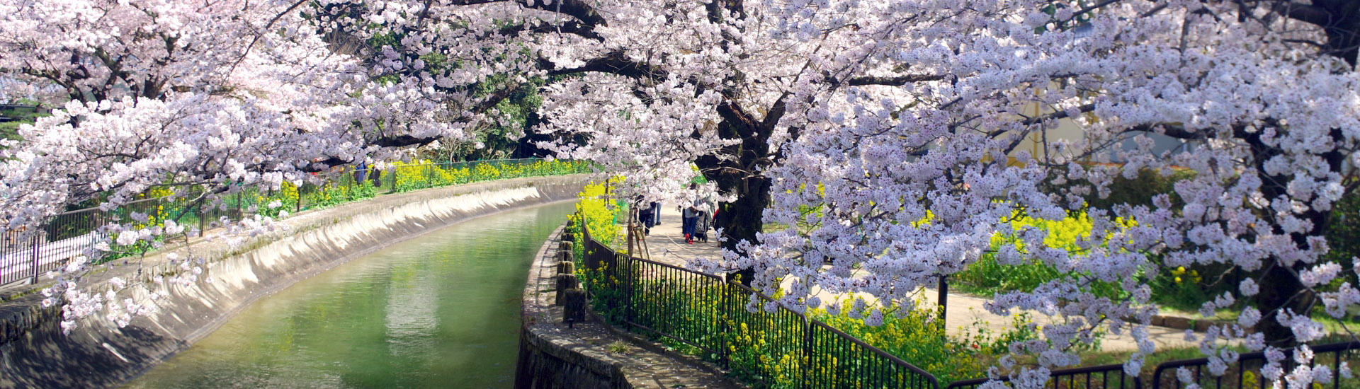 沿革